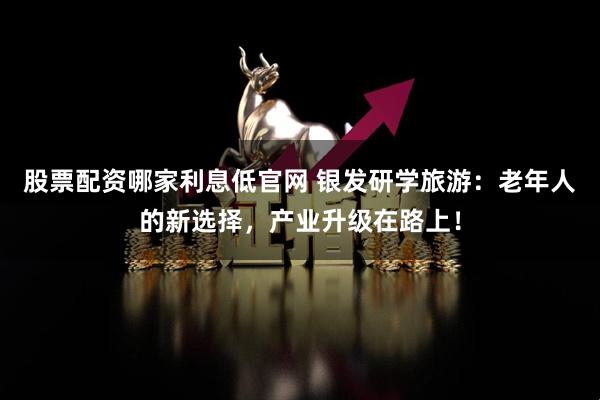 股票配资哪家利息低官网 银发研学旅游：老年人的新选择，产业升级在路上！