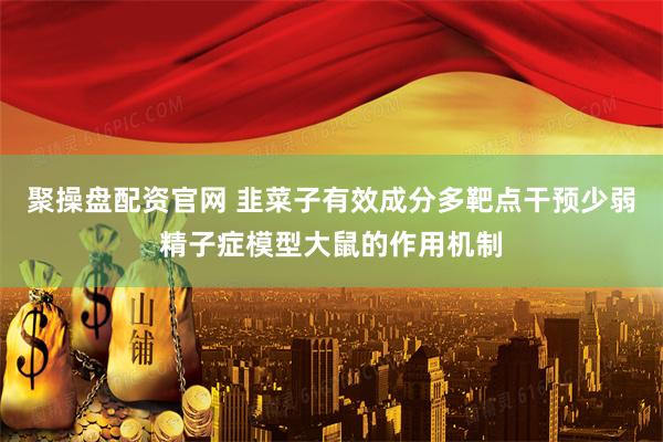 聚操盘配资官网 韭菜子有效成分多靶点干预少弱精子症模型大鼠的作用机制