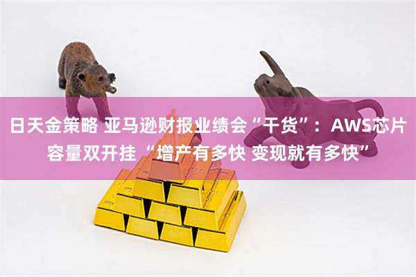 日天金策略 亚马逊财报业绩会“干货”：AWS芯片容量双开挂 “增产有多快 变现就有多快”