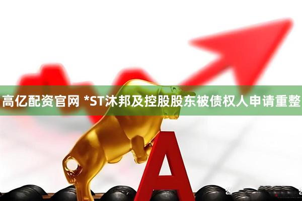 高亿配资官网 *ST沐邦及控股股东被债权人申请重整