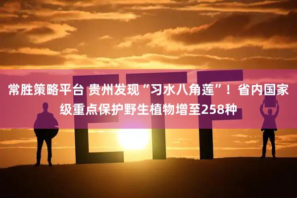 常胜策略平台 贵州发现“习水八角莲”！省内国家级重点保护野生植物增至258种